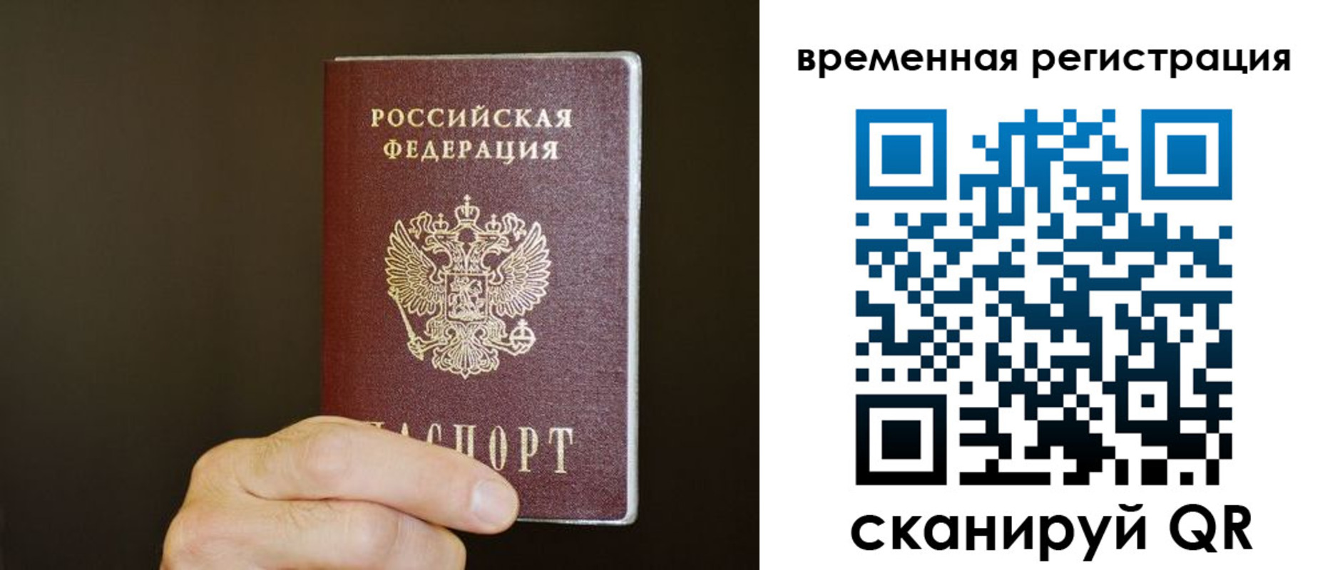 прописка гарантия в Котово